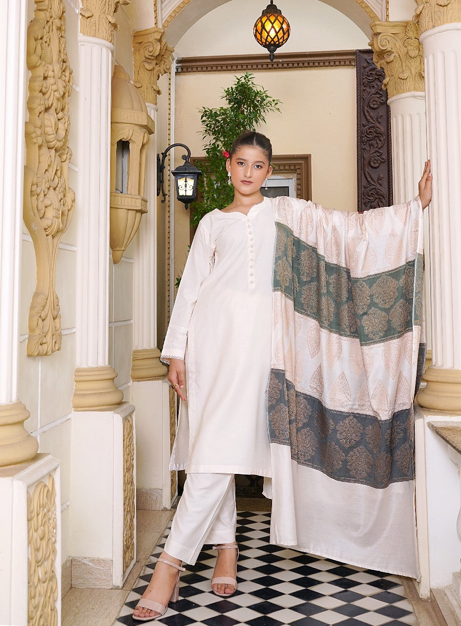 Brit 3 piece Dhanak Pakistani ladies Winter collection suit B406