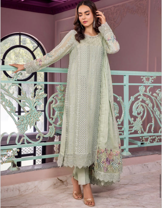 TT ronak mahel luxury chiffon_81042 Pakistani ladies suit B234