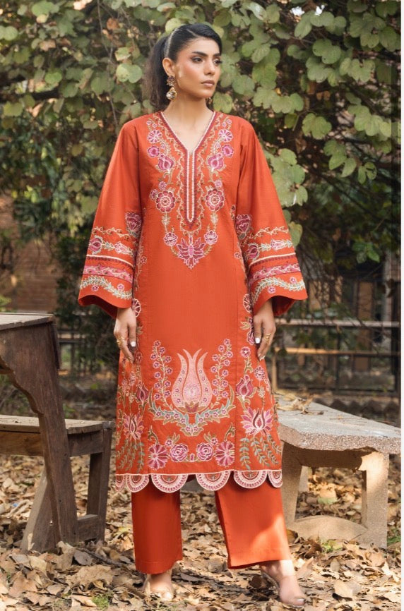 TT 2 piece luxury EID Collection _81042 Pakistani ladies suit B511