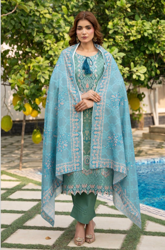 Brit 3 piece Dhanak winter collection Pakistani ladies suit B325