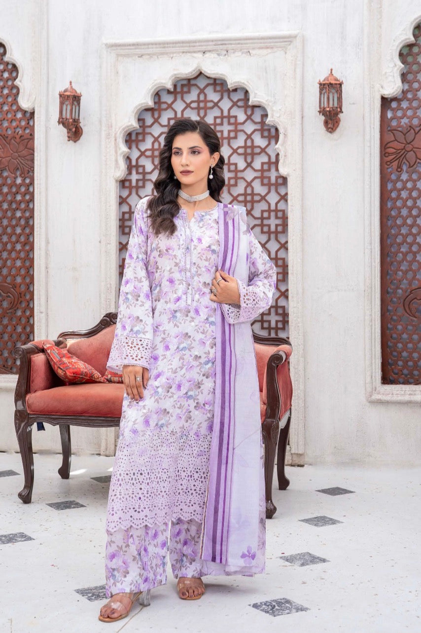 Rangz 3 piece luxury chicken Kari ladies dress B648