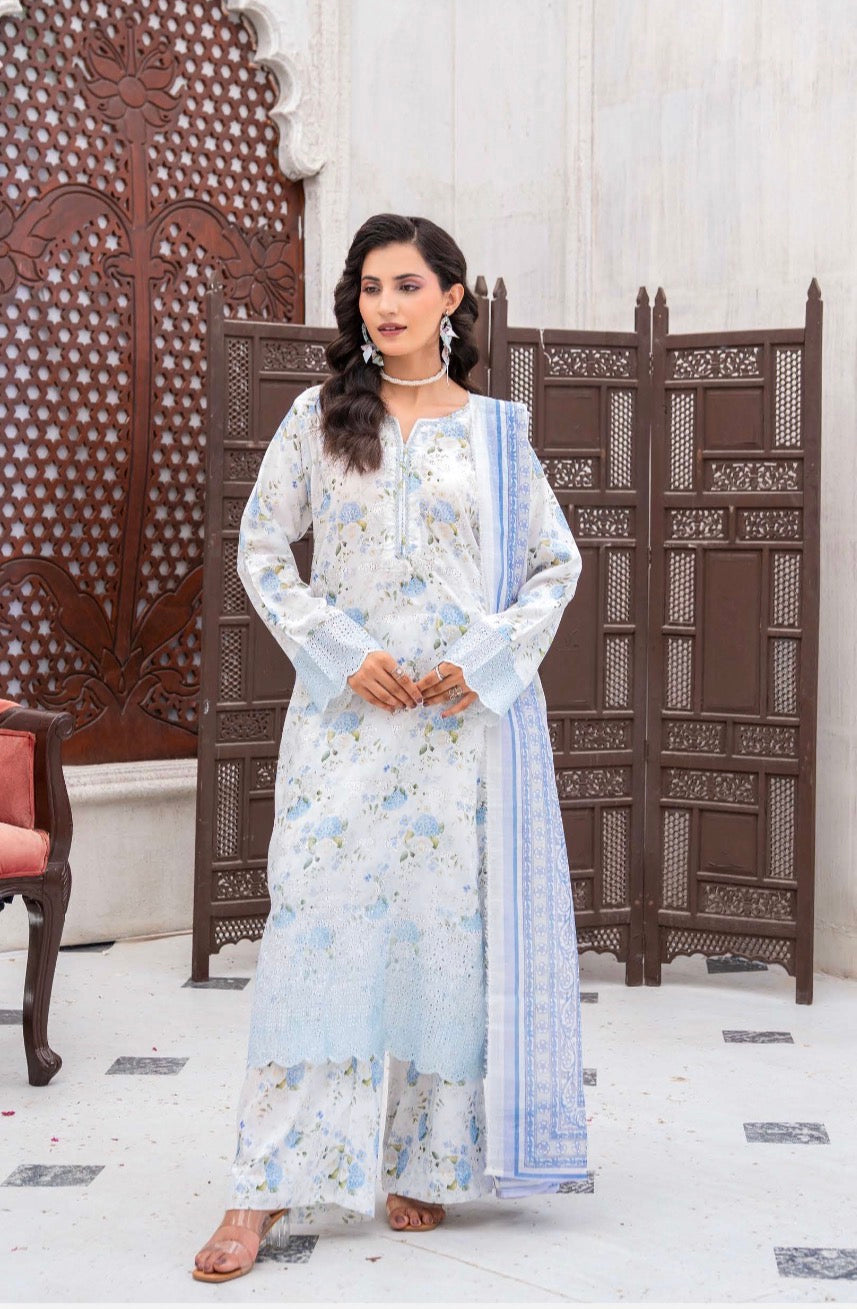 Rangz 3 piece luxury chicken Kari ladies dress B648