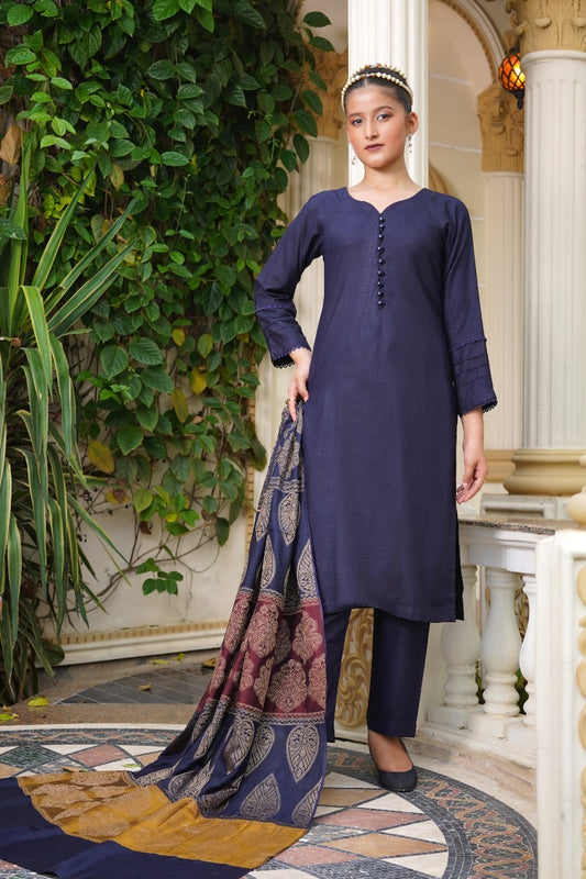 Brit 3 piece Dhanak Pakistani ladies Winter collection suit B406