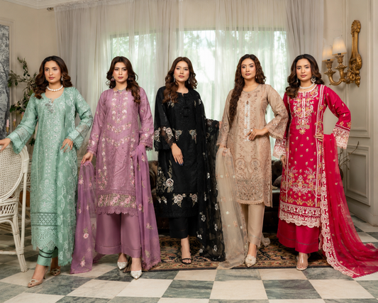 Munira Designer 3 piece ladies Fancy collection B594