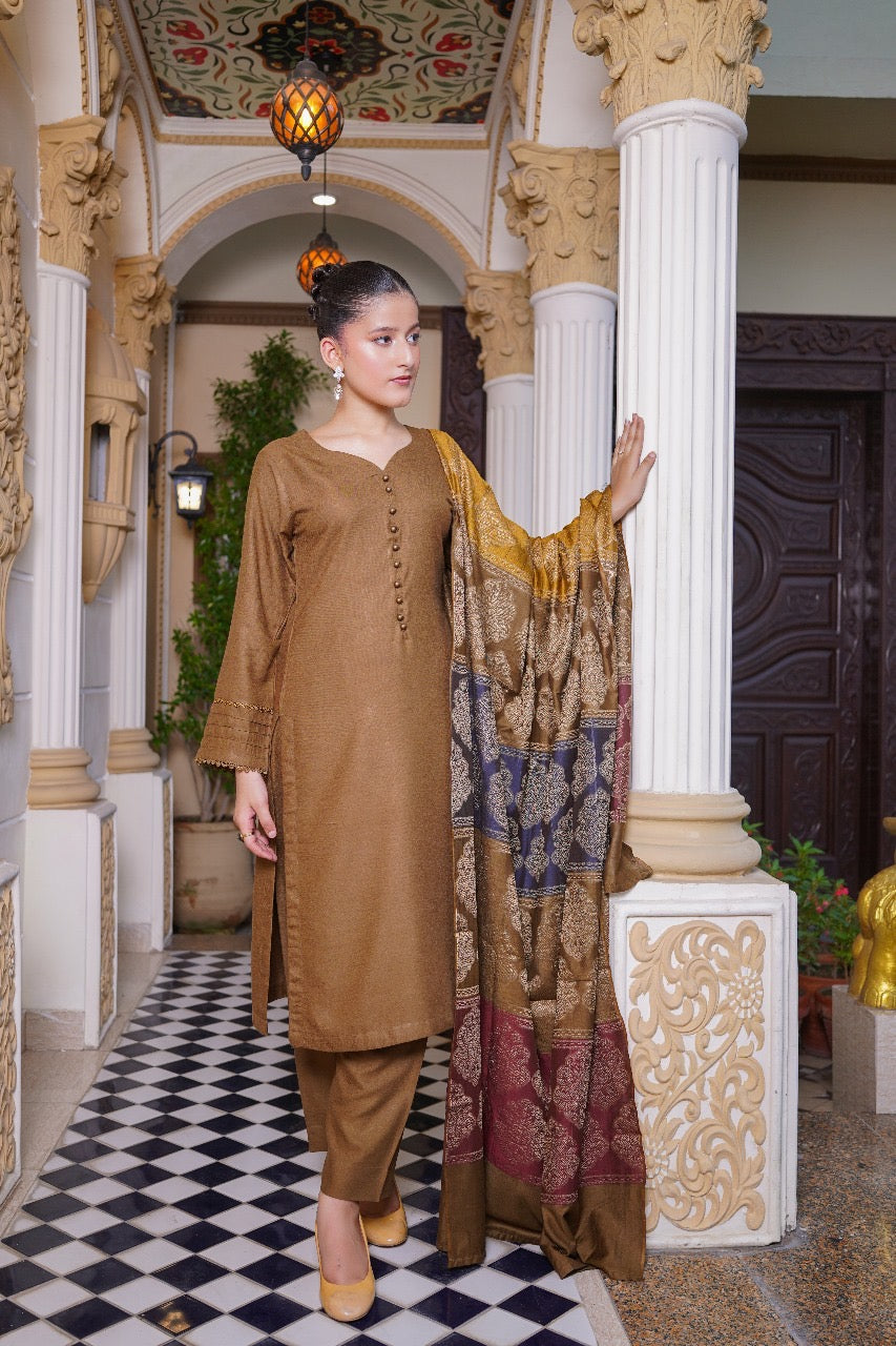 Brit 3 piece Dhanak Pakistani ladies Winter collection suit B406