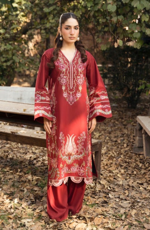 TT 2 piece luxury EID Collection _81042 Pakistani ladies suit B511
