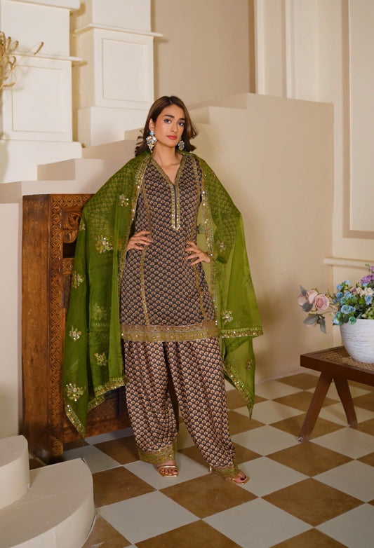 CHARIZMA inspired 3 piece banarsi ladies dress B611