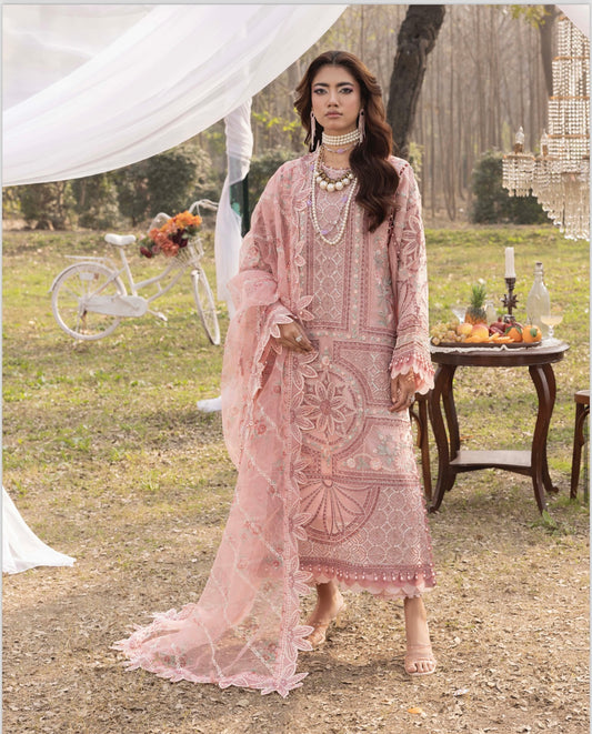 TT 3 piece embroidery lawn _81042 Pakistani ladies suit B219