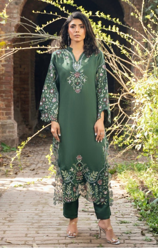 TT 2 piece luxury EID Collection _81042 Pakistani ladies suit B511