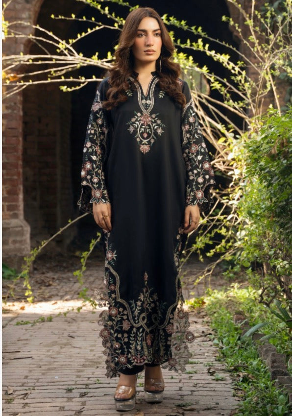TT 2 piece luxury EID Collection _81042 Pakistani ladies suit B511