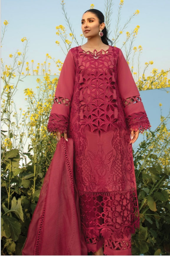 Rang Rasiya lawn_1893