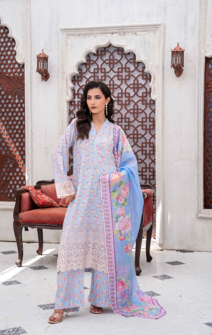 Rangz 3 piece luxury chicken Kari ladies dress B648