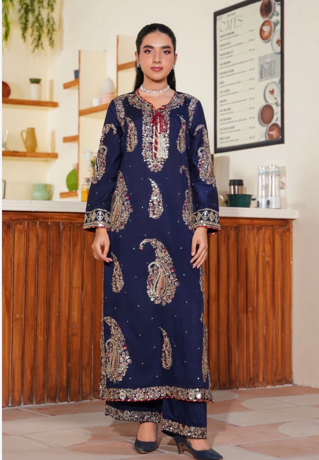 Ethnic 2 piece luxury viscous ladies dress B711