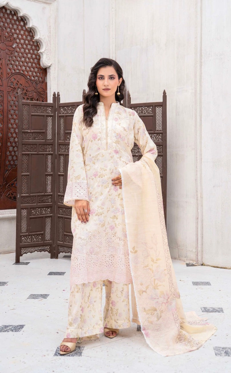 Rangz 3 piece luxury chicken Kari ladies dress B648