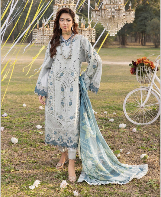 TT 3 piece embroidery lawn _81042 Pakistani ladies suit B219