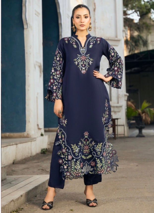 TT 2 piece luxury EID Collection _81042 Pakistani ladies suit B511