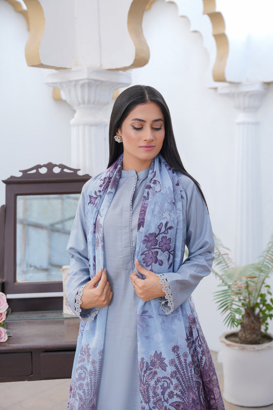 Brit 3 piece Farshi Salwar _100256 ladies suit Grey B147